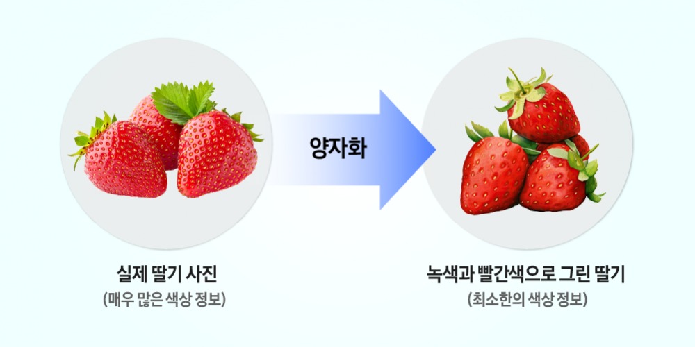 실제 딸기 사진(매우 많은 색상 정보) 양자화 녹색과 빨간색으로 그린 딸기(최소한의 색상 정보)